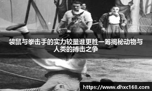 袋鼠与拳击手的实力较量谁更胜一筹揭秘动物与人类的搏击之争